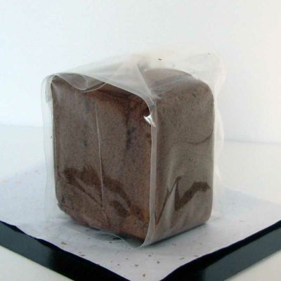 烏骨鶏かすていら　美味（みみ）　チョコ